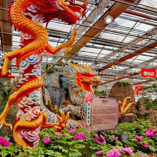 內蒙古通遼和佑首屆農業嘉年華