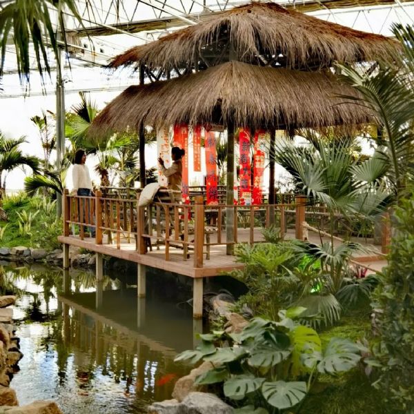 內蒙古通遼和佑首屆農業嘉年華