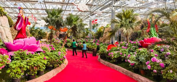 內蒙古通遼和佑首屆農業嘉年華