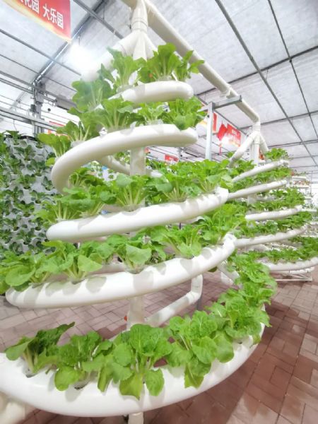 內蒙古通遼和佑首屆農業嘉年華