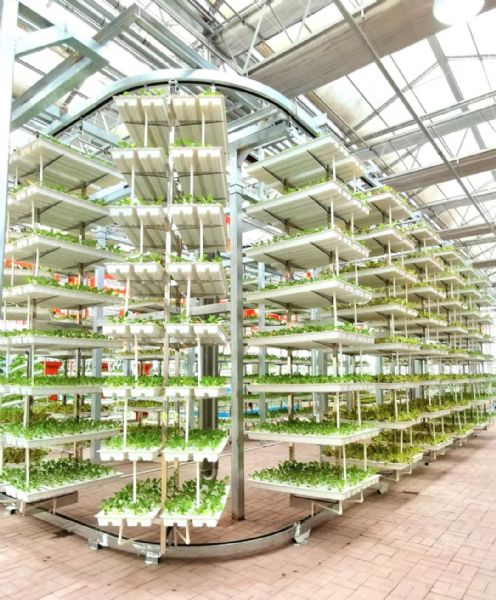 內蒙古通遼和佑首屆農業嘉年華