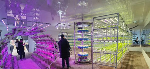 內蒙古通遼和佑首屆農業嘉年華